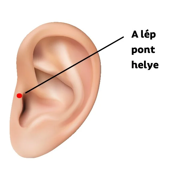 lep-pont-helye-a-fulben.jpg