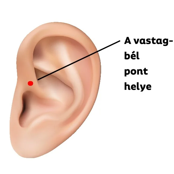 vastagbel-pont-helye-a-fulben.jpg