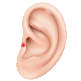 Fül, a slim piercing helye